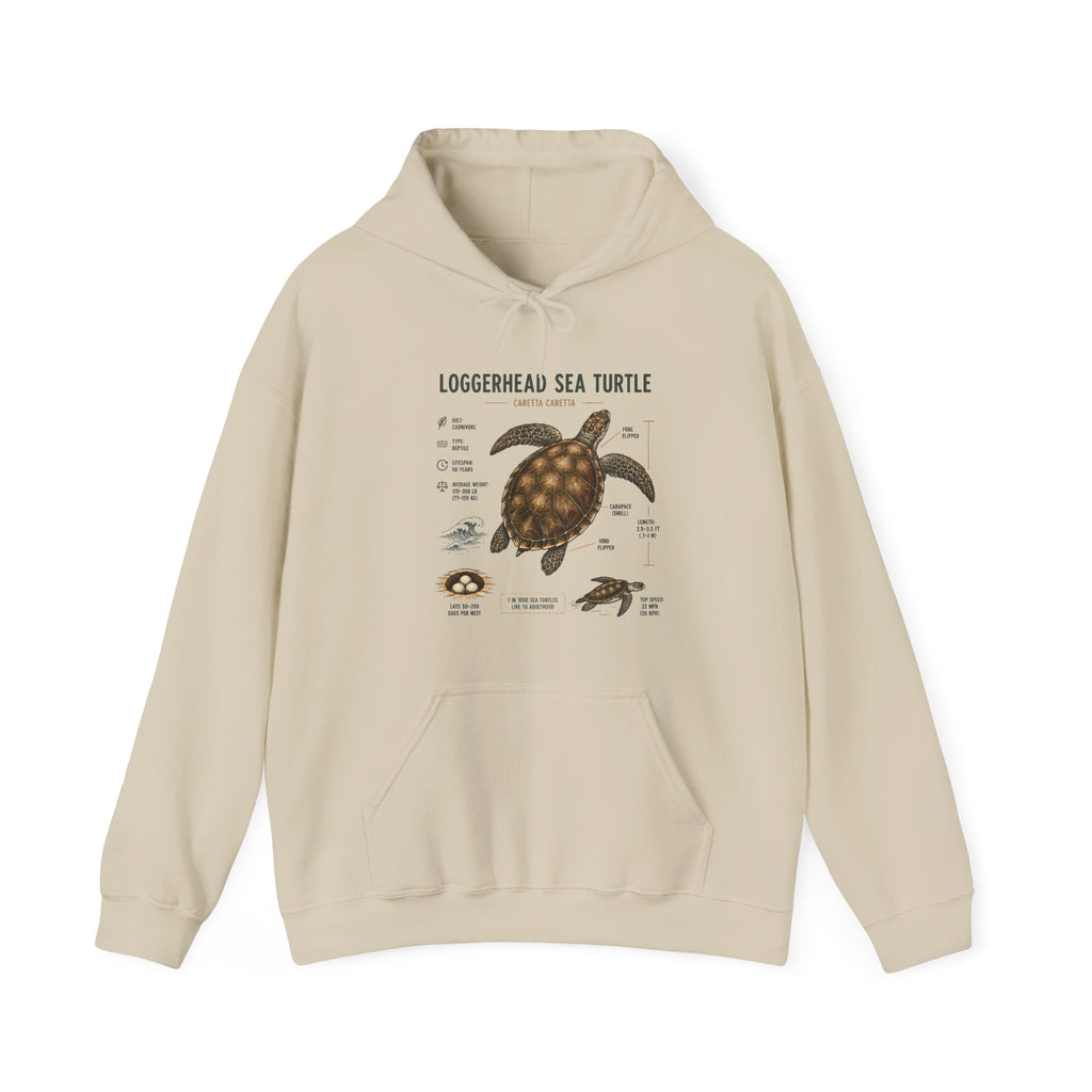 Loggerhead Sea Turtle Diagram Hoodie – Marine Biology Illustration Sweatshirt