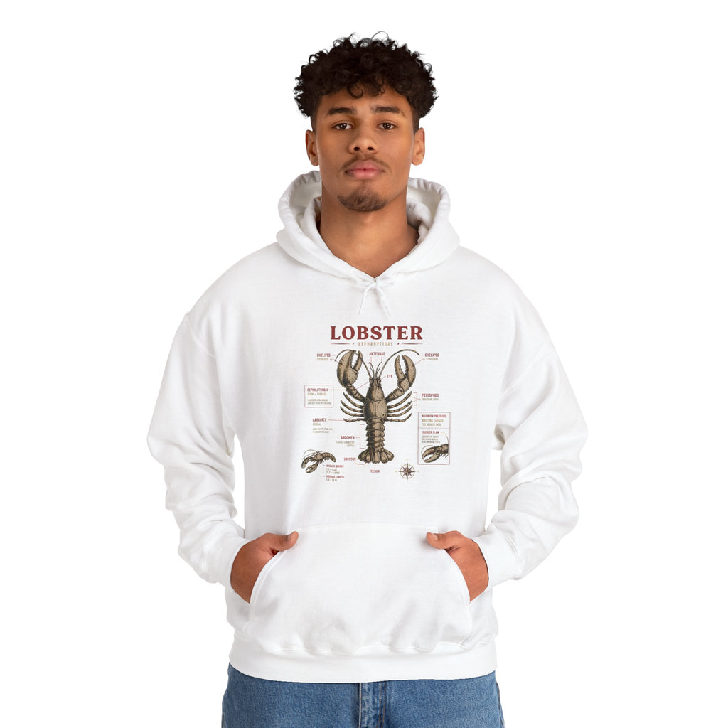 Lobster Anatomy Hoodie – Nautical Seafood Illustration Pullover