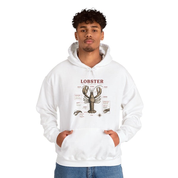 Lobster Anatomy Hoodie – Nautical Seafood Illustration Pullover