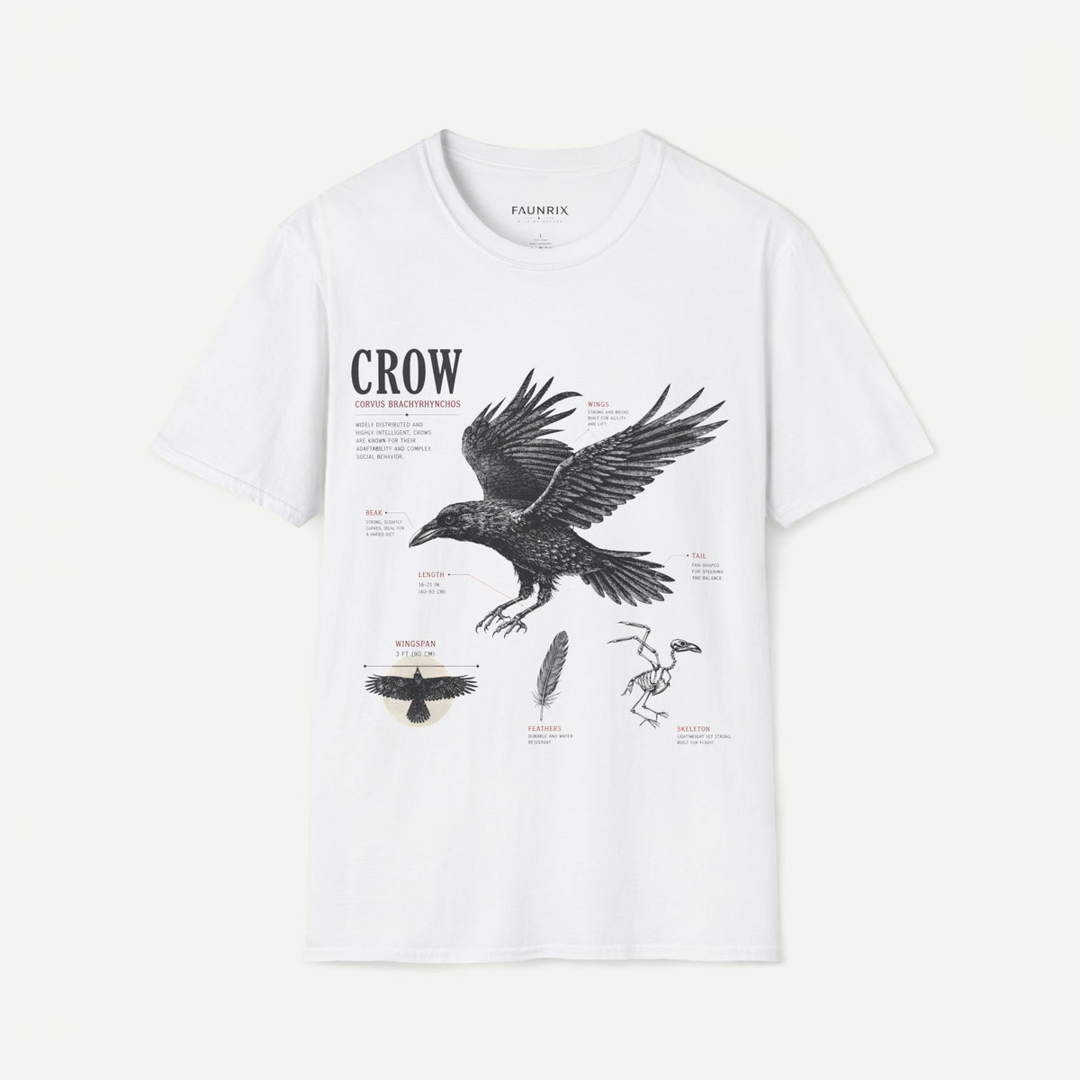 Crow Anatomy Graphic T-Shirt — Vintage Raven Illustration Tee