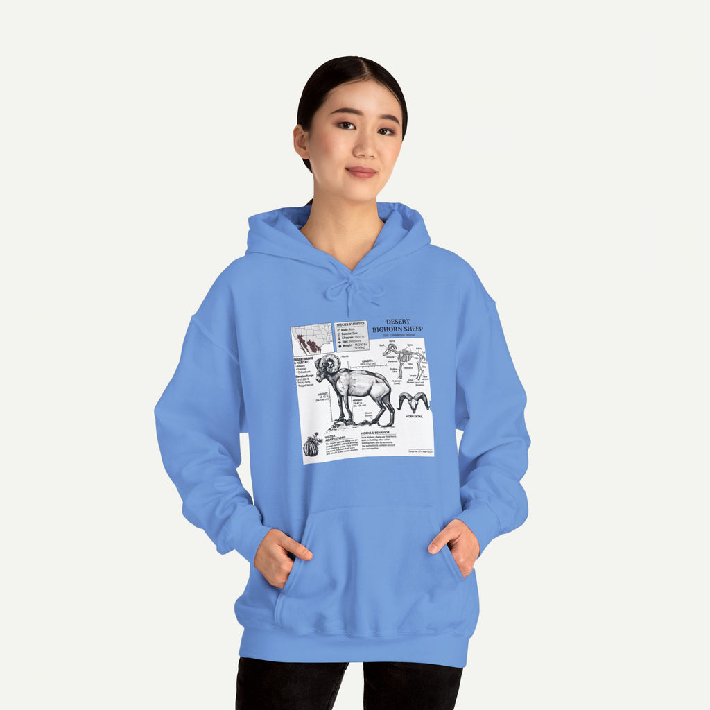 Dog Anatomy Hoodie – Vintage Canine Diagram Sweatshirt