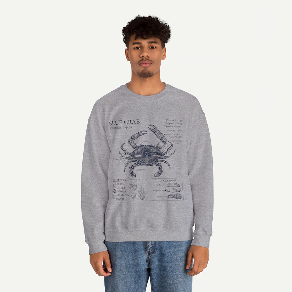 Blue Crab Anatomy Crewneck Sweatshirt – Marine Biology Graphic Pullover