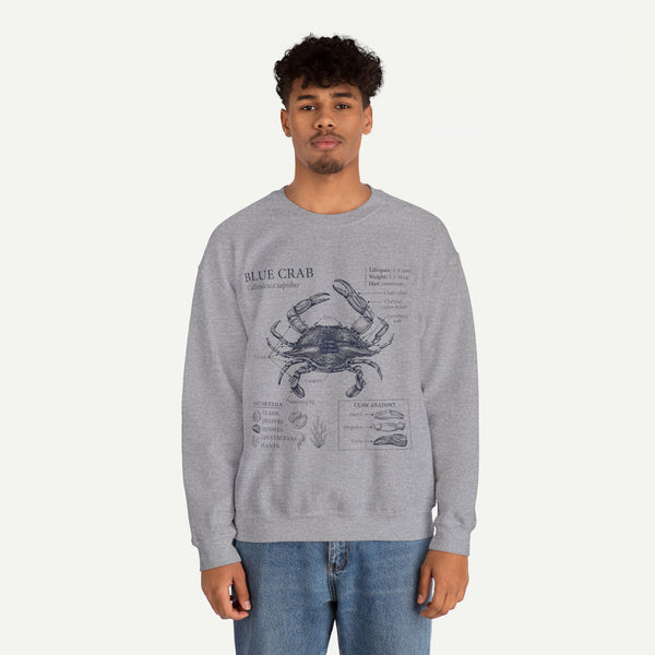 Blue Crab Anatomy Crewneck Sweatshirt – Marine Biology Graphic Pullover
