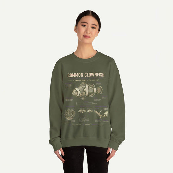 Common Clownfish Anatomy Sweatshirt – Marine Biology Graphic Pullover