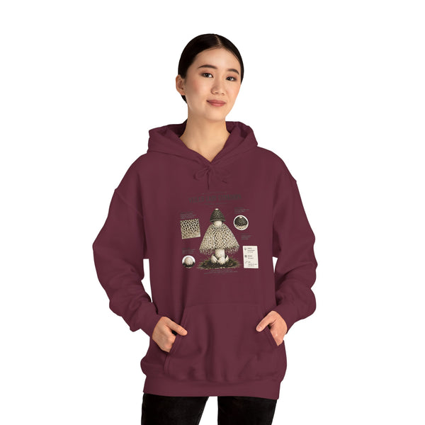 Mushroom Guide Hoodie — Velvet-Lady Stropharia Fungi Illustration Sweatshirt