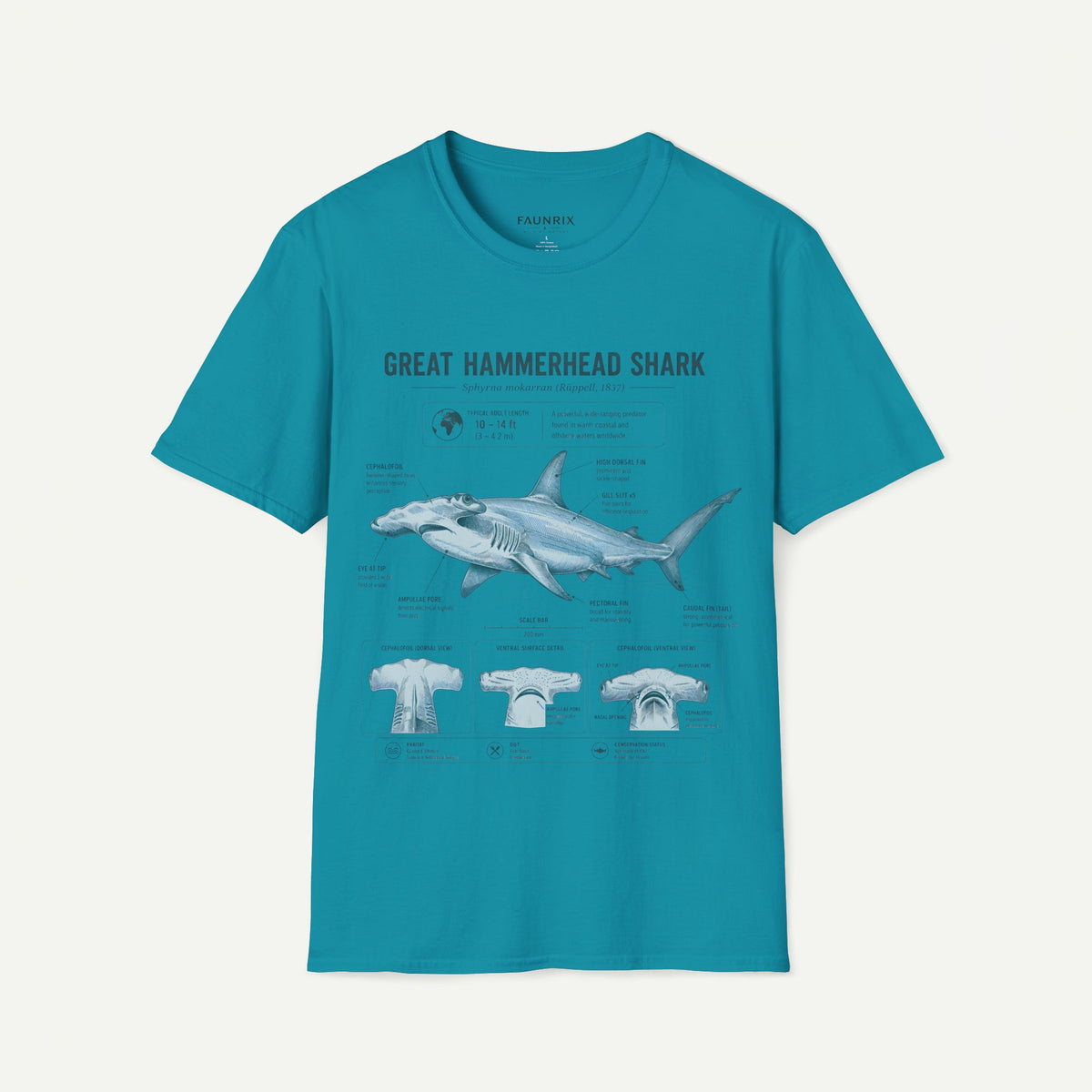 Hammerhead Shark Anatomy T-Shirt — Great Hammerhead Educational Tee