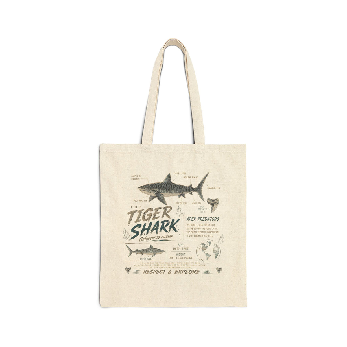Tiger Shark Canvas Tote Bag – Vintage Marine Illustration, 'Tiger Shark' Educational Design Main image
