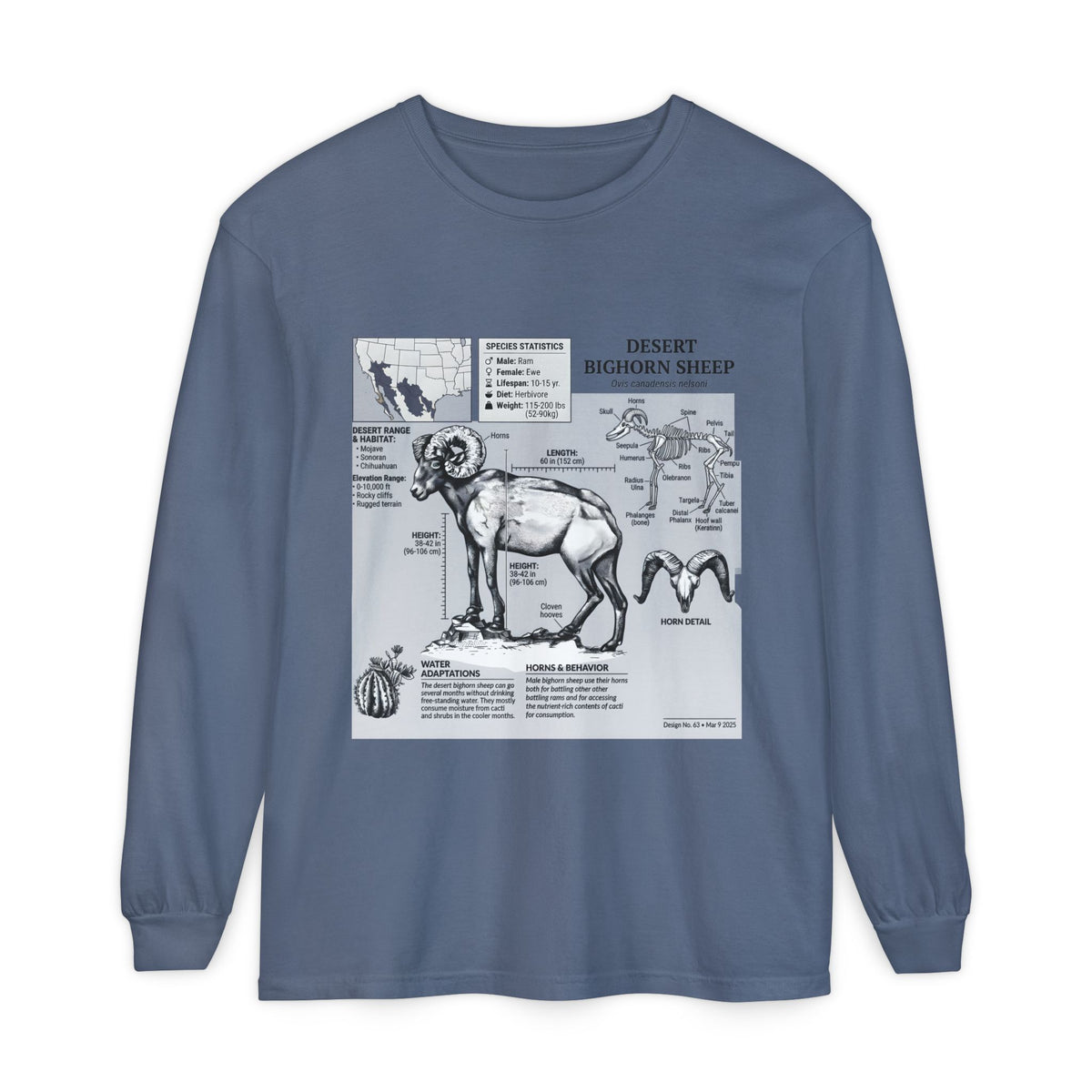 Desert Bighorn Sheep Diagram Long Sleeve T-Shirt Main image