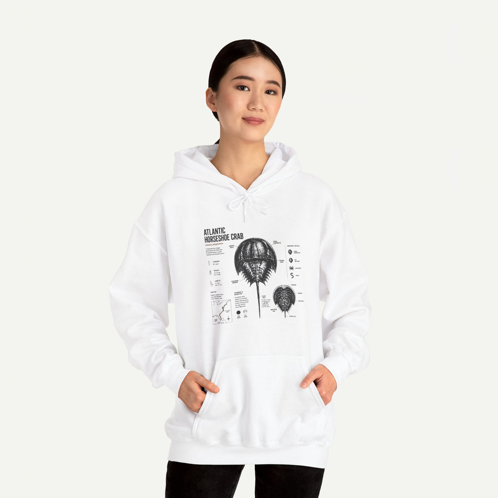 Horseshoe Crab Anatomy Hoodies