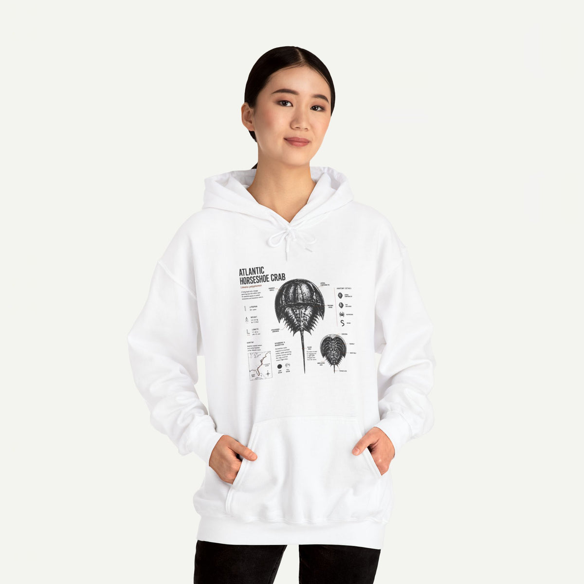 Horseshoe Crab Anatomy Hoodies