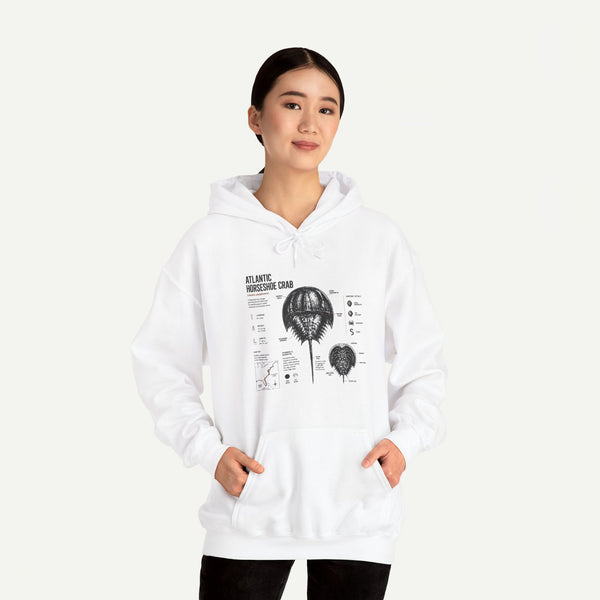 Horseshoe Crab Anatomy Hoodies