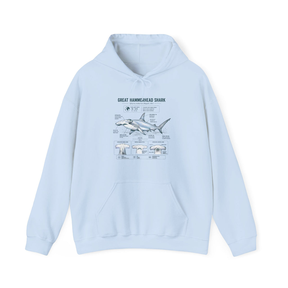Shark Anatomy Hoodie — Great Hammerhead Shark Diagram Sweatshirt