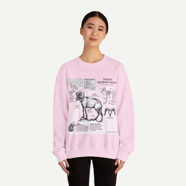 Desert Bighorn Sheep Anatomy Sweatshirt
