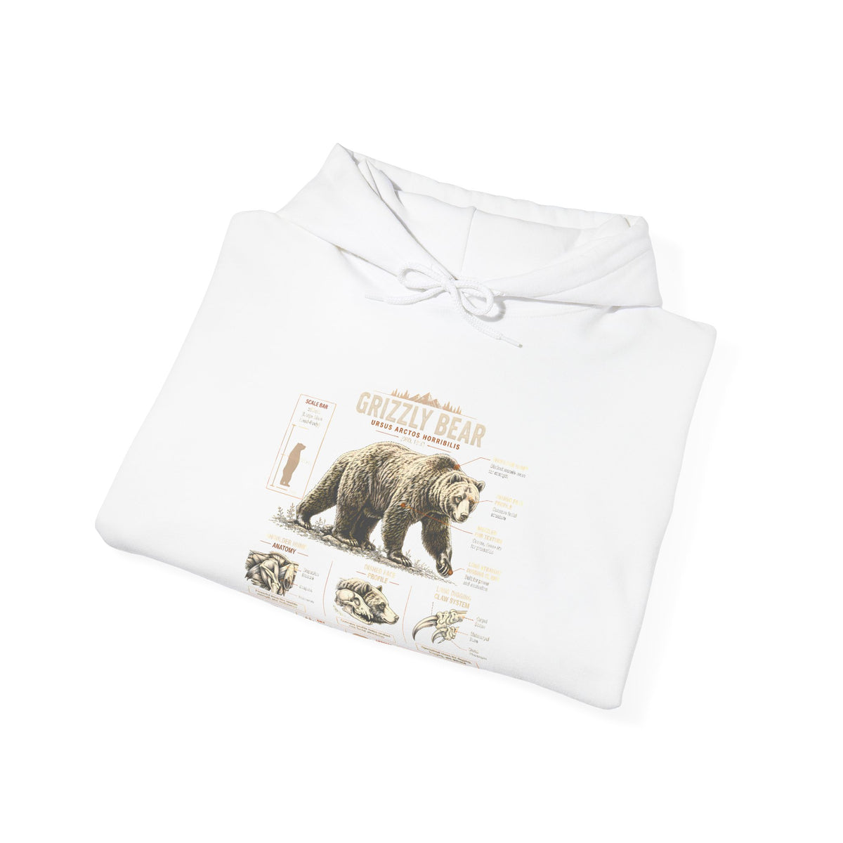 Hoodie — Vintage Bear Anatomy Graphic Hoodie