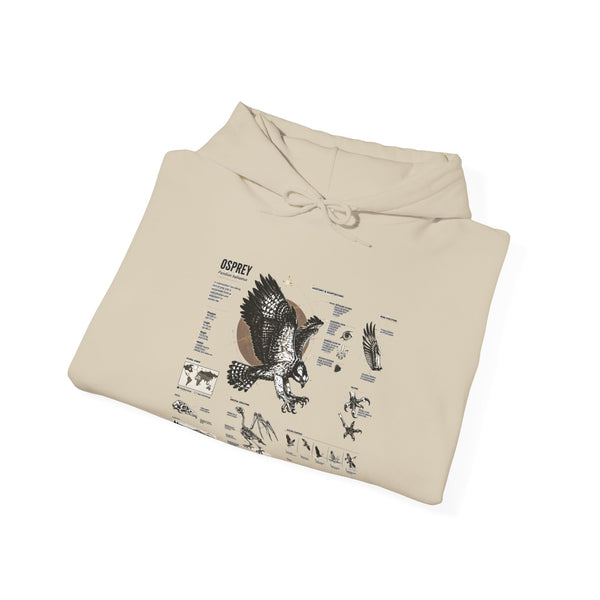 Eagle Anatomy Hoodie — Vintage Ornithology Graphic Sweatshirt