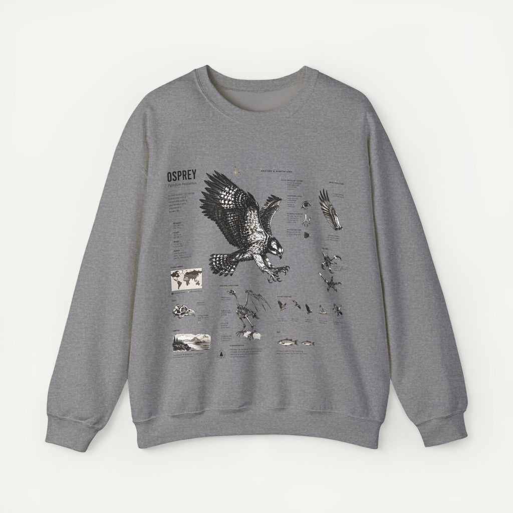 Osprey Anatomy Sweatshirt — Illustrated Bird Guide Pullover
