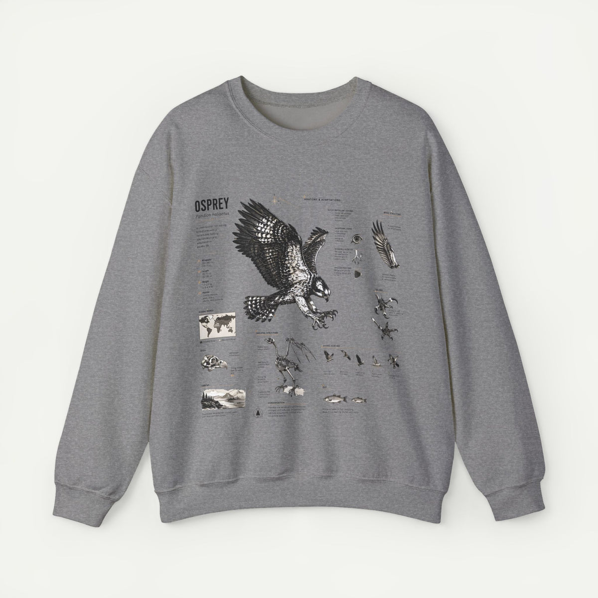 Osprey Anatomy Sweatshirt — Illustrated Bird Guide Pullover