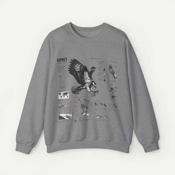 Osprey Anatomy Sweatshirt — Illustrated Bird Guide Pullover