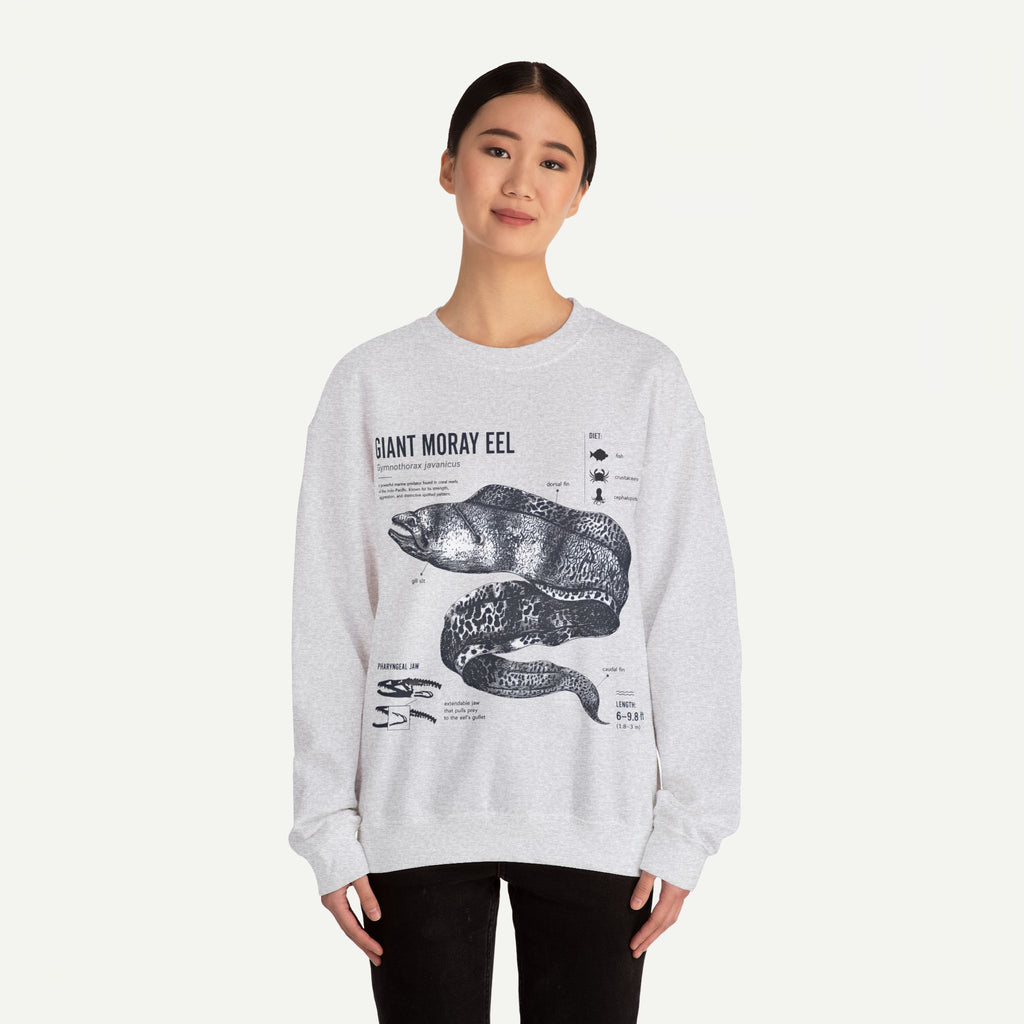 Giant Moray Eel Anatomy Sweatshirt