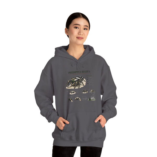 Tarantula Species Hoodie — Phidippus Regius Educational Spider Sweatshirt