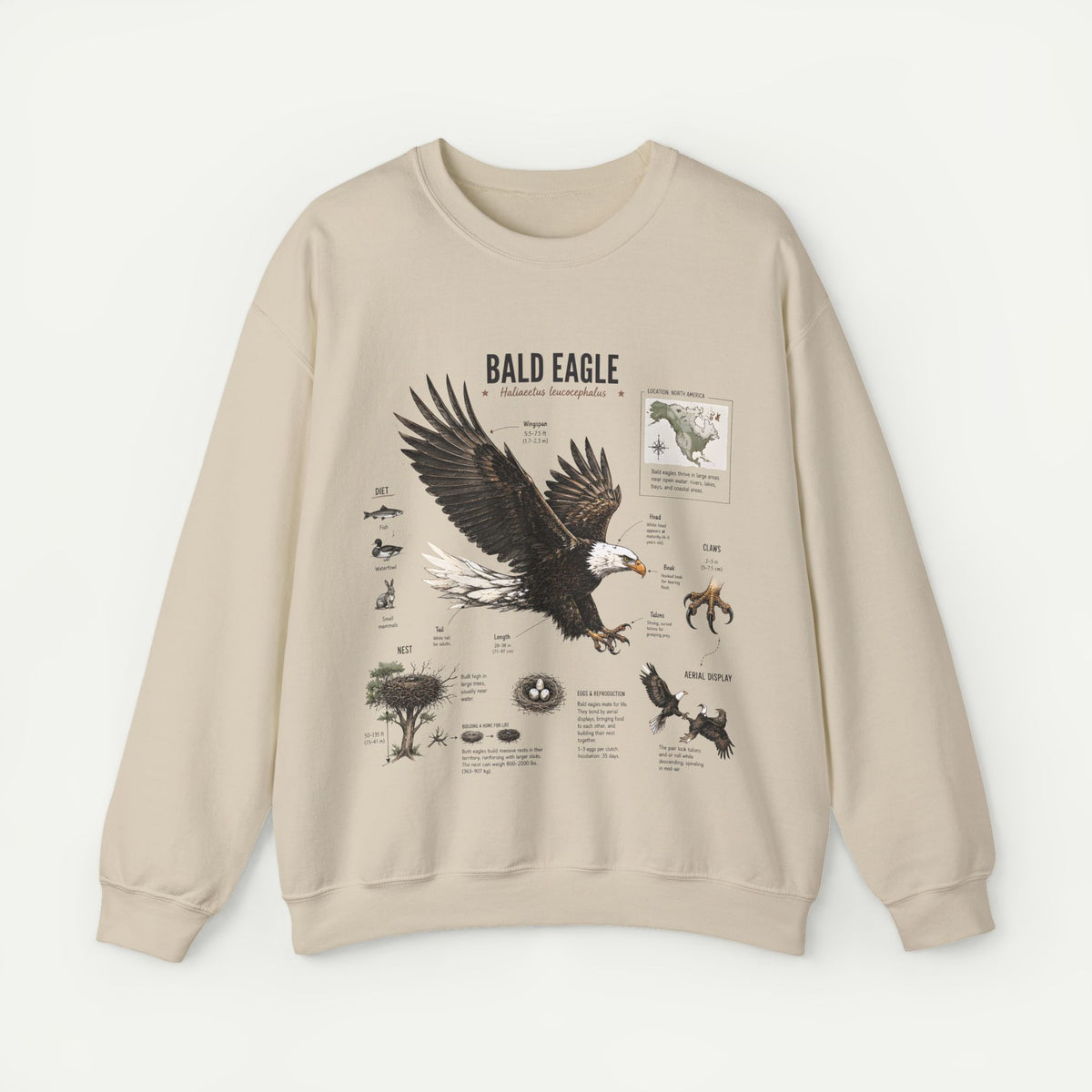 Bald Eagle Anatomy Sweatshirt