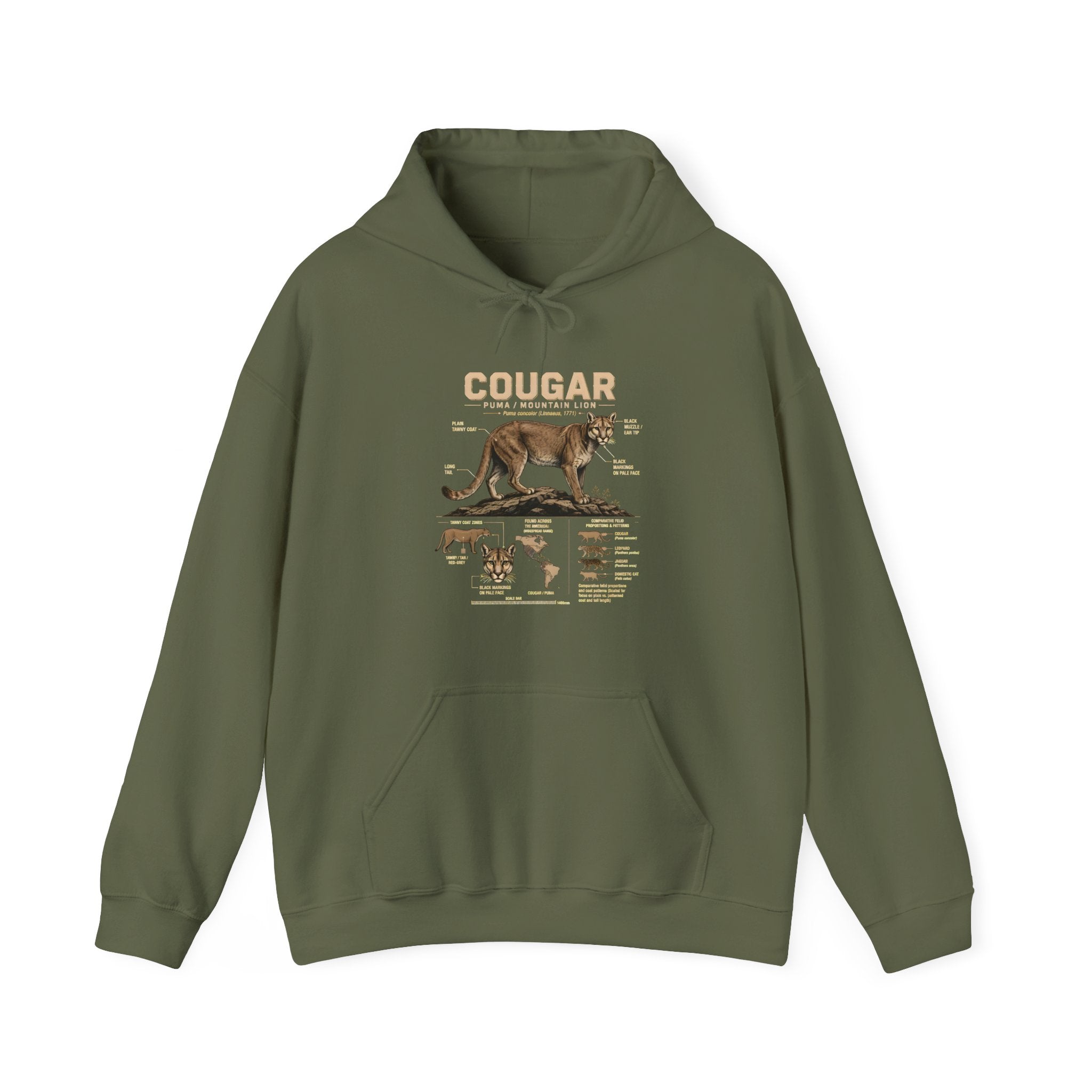 Cougar Anatomy Hoodie — Vintage Wildlife Diagram Pullover for Nature Lovers Secondary image