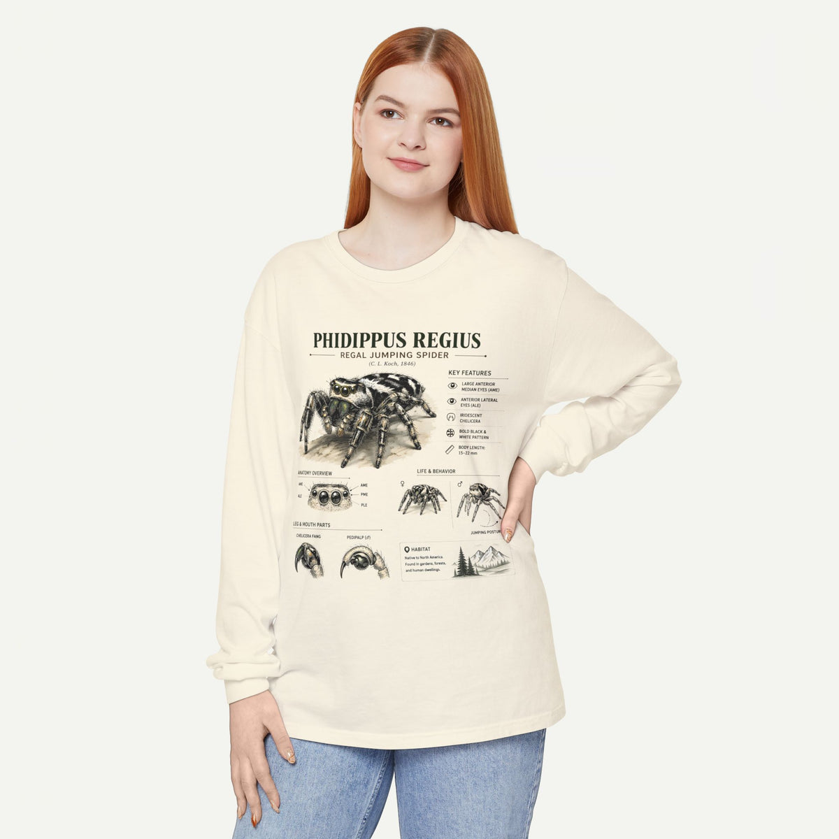 Phidippus Regius Jumping Spider Illustration Long Sleeve Tee