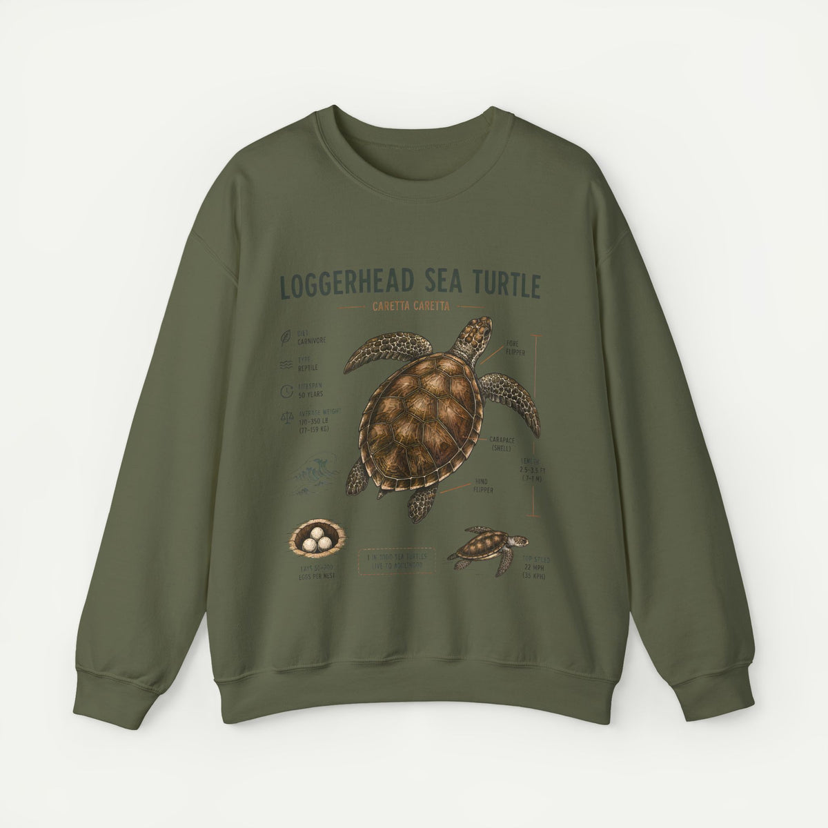 Loggerhead Sea Turtle Anatomy Sweatshirt — Marine Life Educational Crewneck