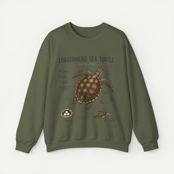 Loggerhead Sea Turtle Anatomy Sweatshirt — Marine Life Educational Crewneck