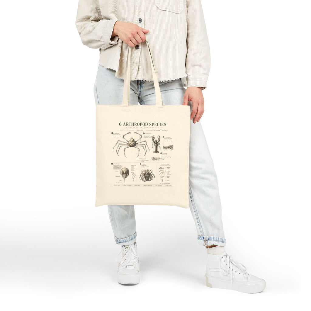 Arthropod Species Illustrated Canvas Tote Bag — Vintage Spider & Crab Biology Print