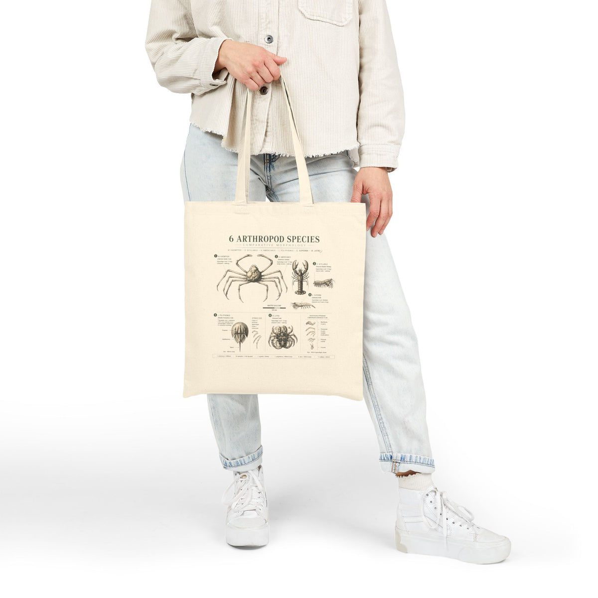 Arthropod Species Illustrated Canvas Tote Bag — Vintage Spider & Crab Biology Print