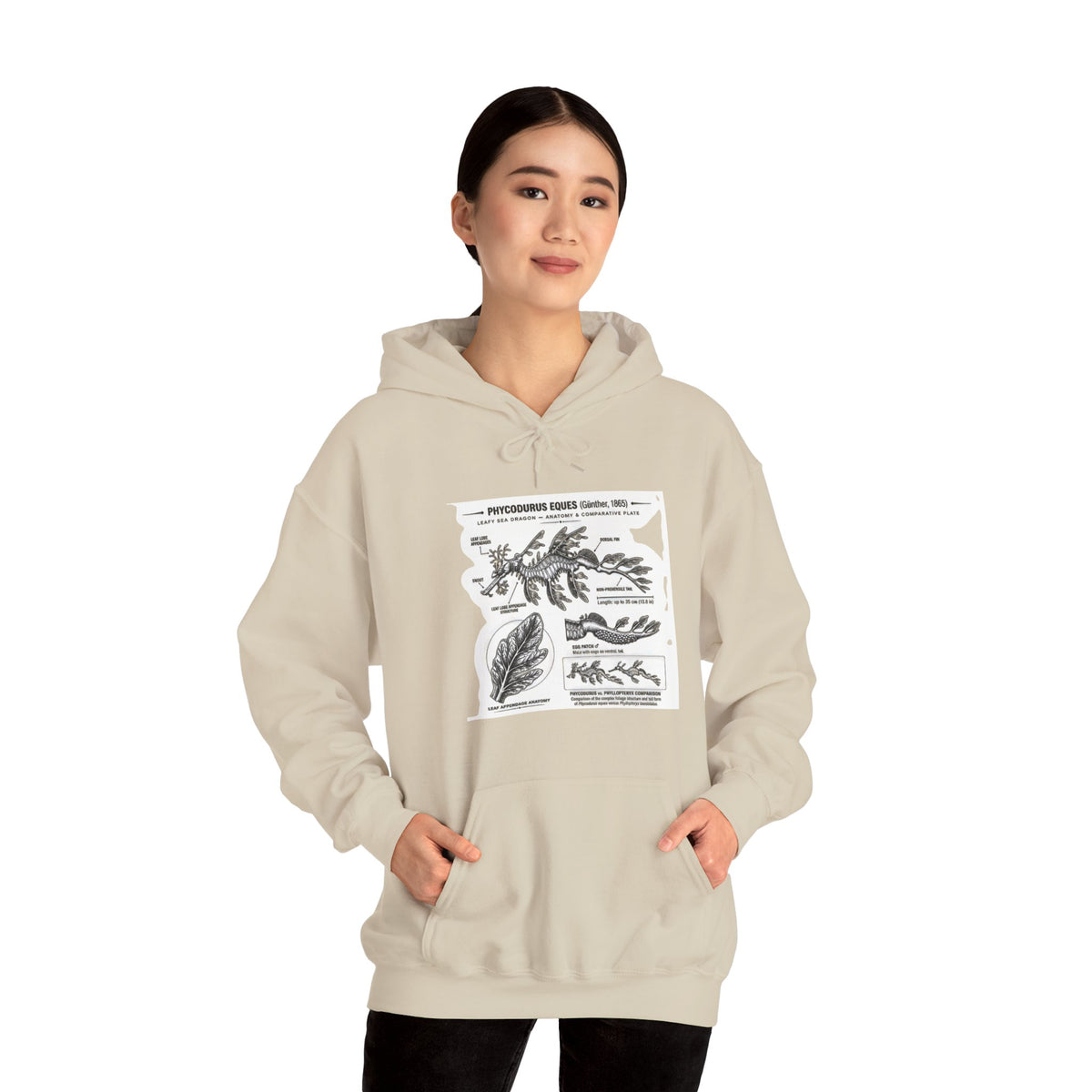 Botanical Anatomy Hoodie — Vintage Plant Diagram Sweatshirt