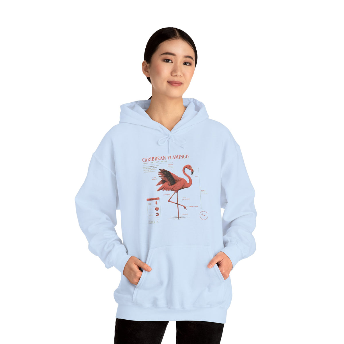 Flamingo Anatomy Hoodie – Caribbean Flamingo Scientific Diagram Sweatshirt