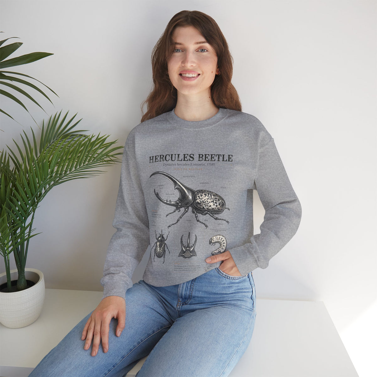 Hercules Beetle Anatomy  Crewneck Sweatshirt – Vintage Entomology Graphic
