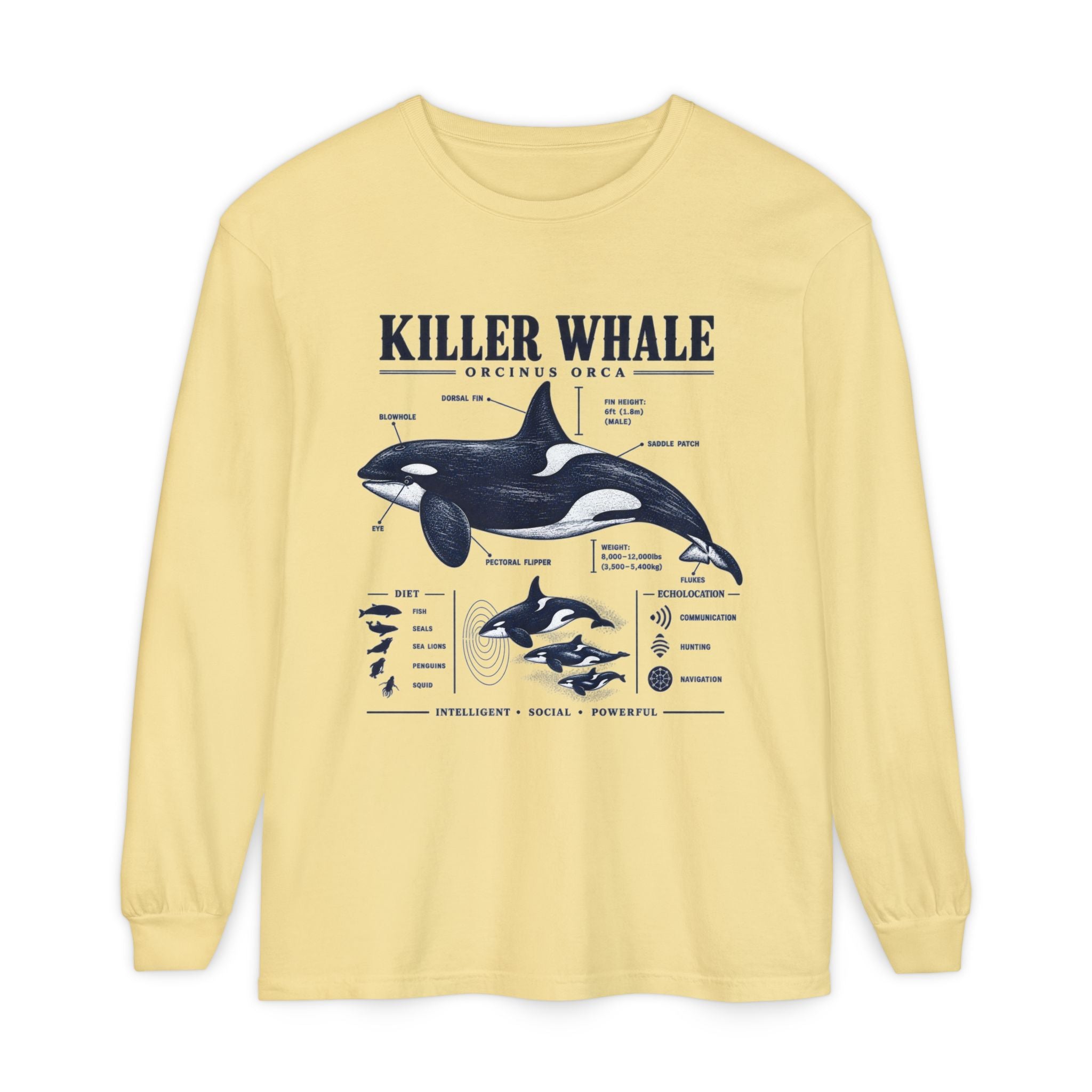 Killer Whale Anatomy Long Sleeve Tee Secondary image