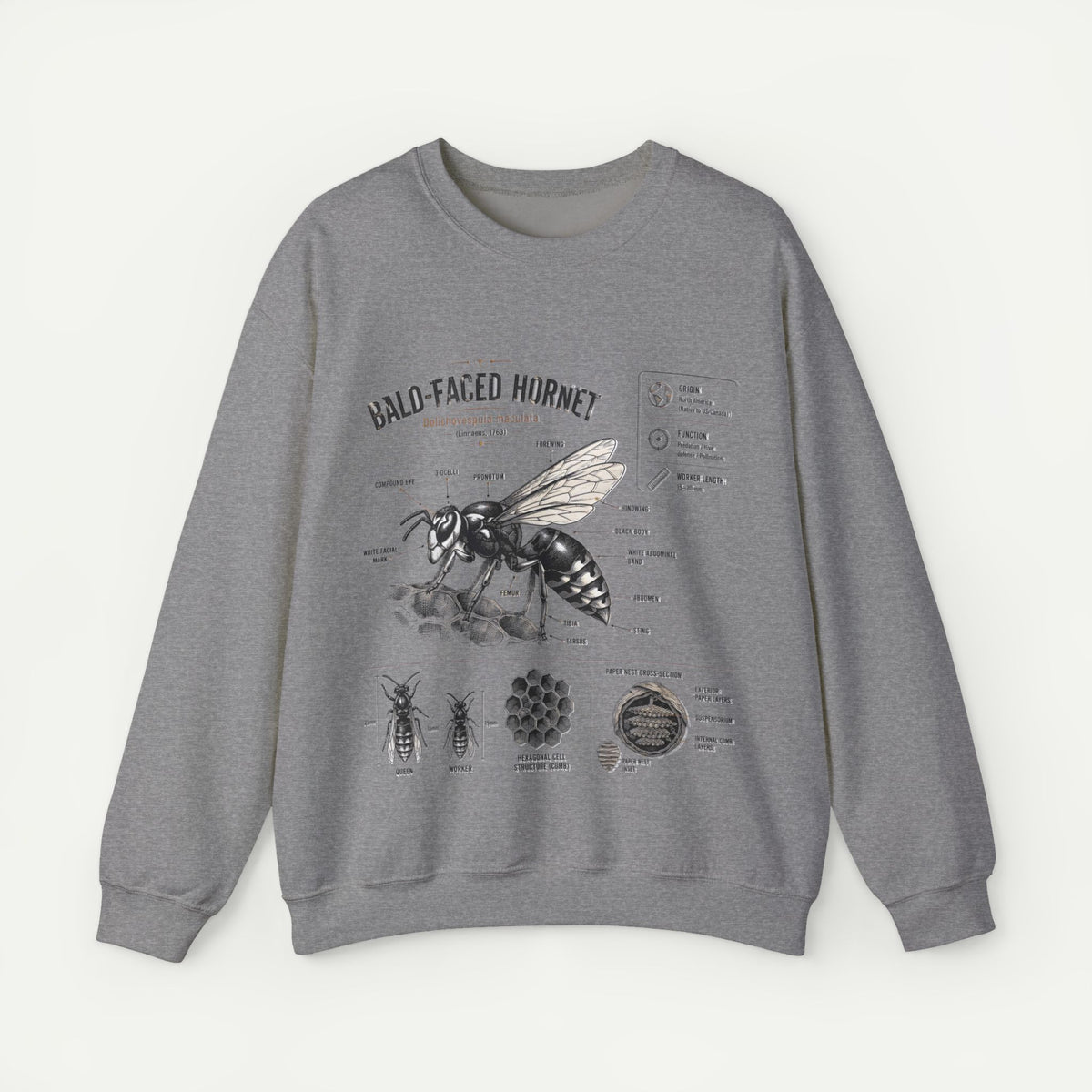 Hornet Anatomy Sweatshirt — Bald-Faced Hornet Diagram Crewneck Main image