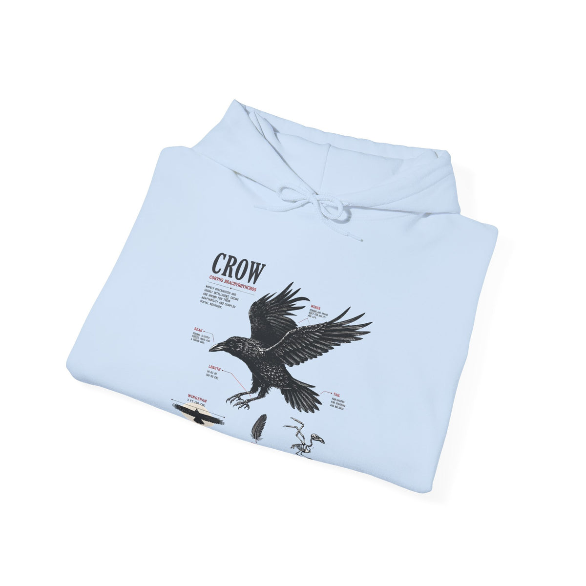 Crow Anatomy Hoodie — Vintage Raven Diagram Hooded Sweatshirt