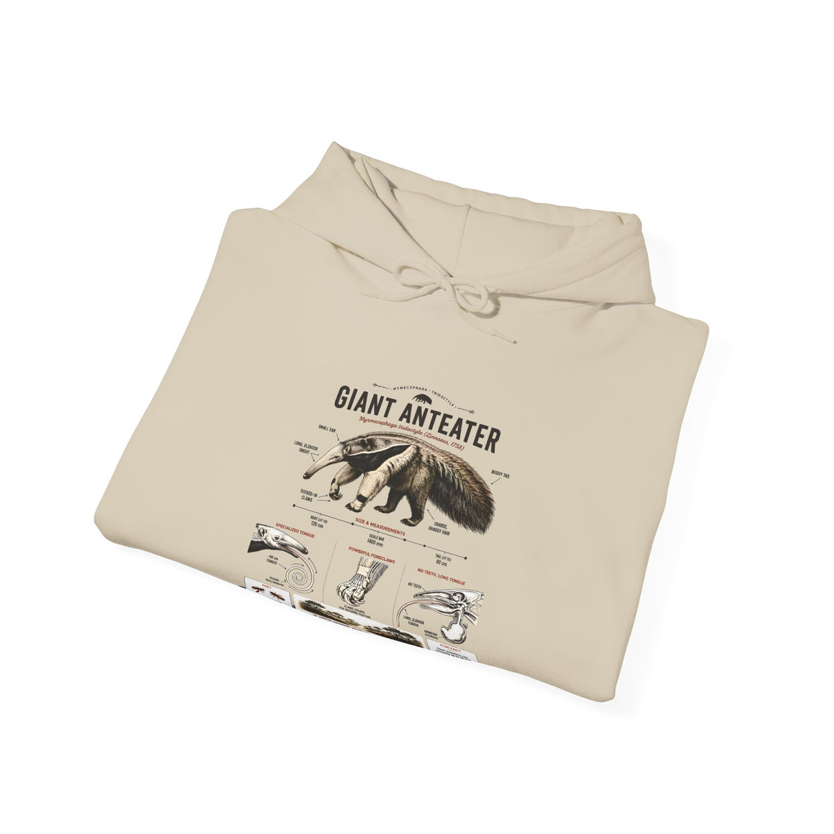 Giant Anteater Anatomy Hoodie — Illustrated Wildlife Diagram Sweatshirt