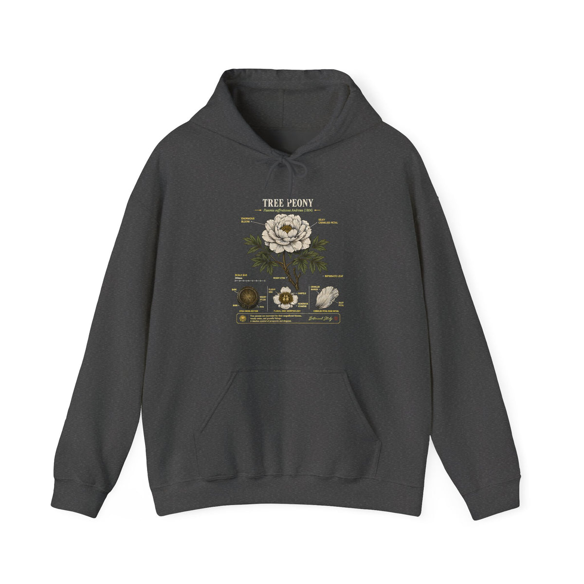 Floral Anatomy Hoodie — 'Tree Peony' Botanical Diagram Pullover