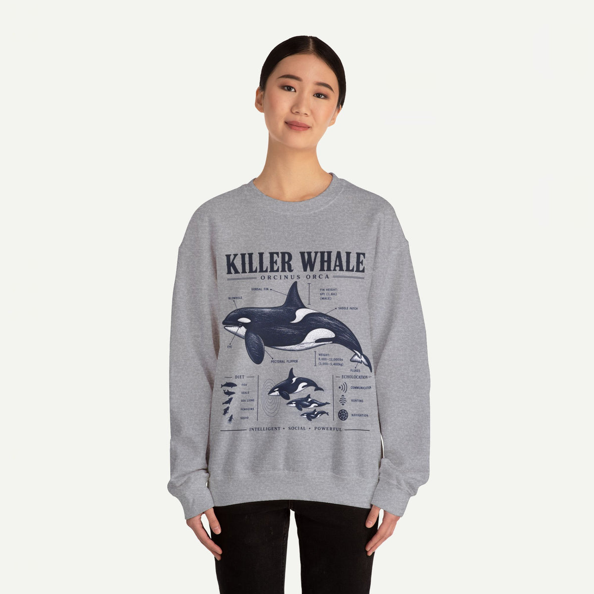 Killer Whale Anatomy Sweatshirt
