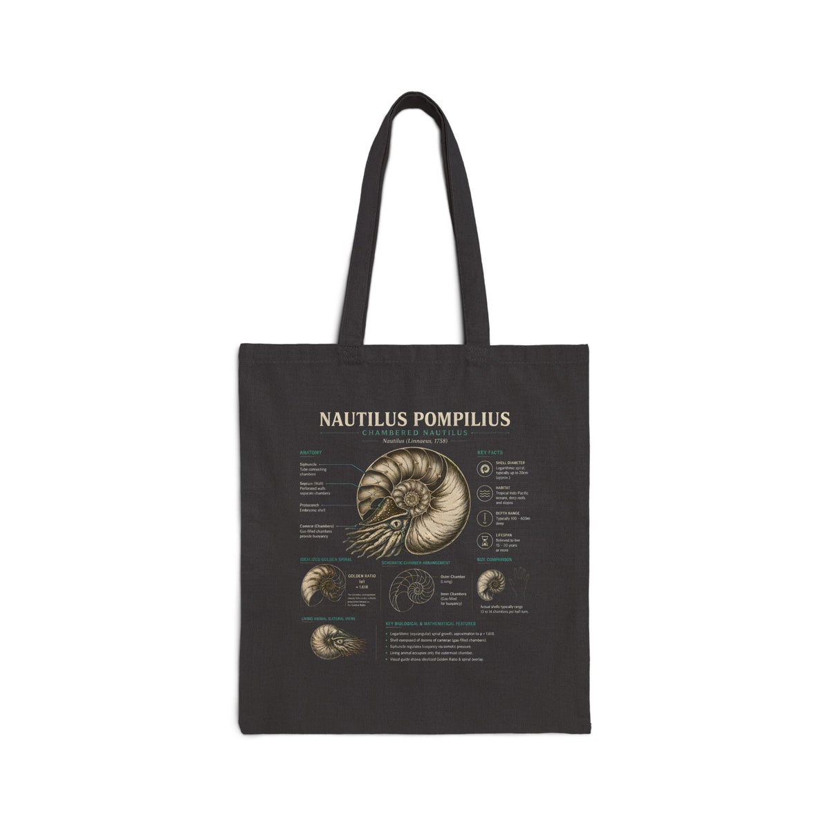 Nautilus Pompilius Anatomy Tote Bag — Vintage Natural History Shell Diagram Canvas Tote Main image