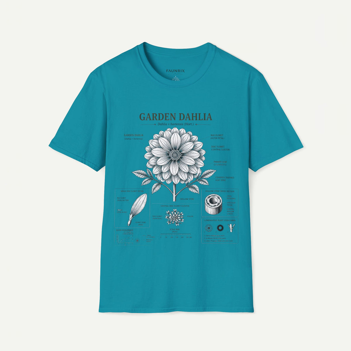 Dahlia Botanical Tee — 'Garden Dahlia' Floral Anatomy T-Shirt Main image
