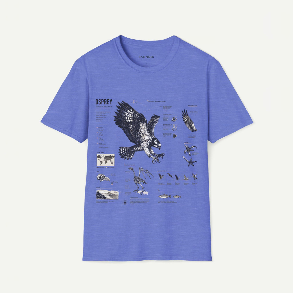 Osprey Anatomy T-Shirt — Vintage Bird Illustration Tee