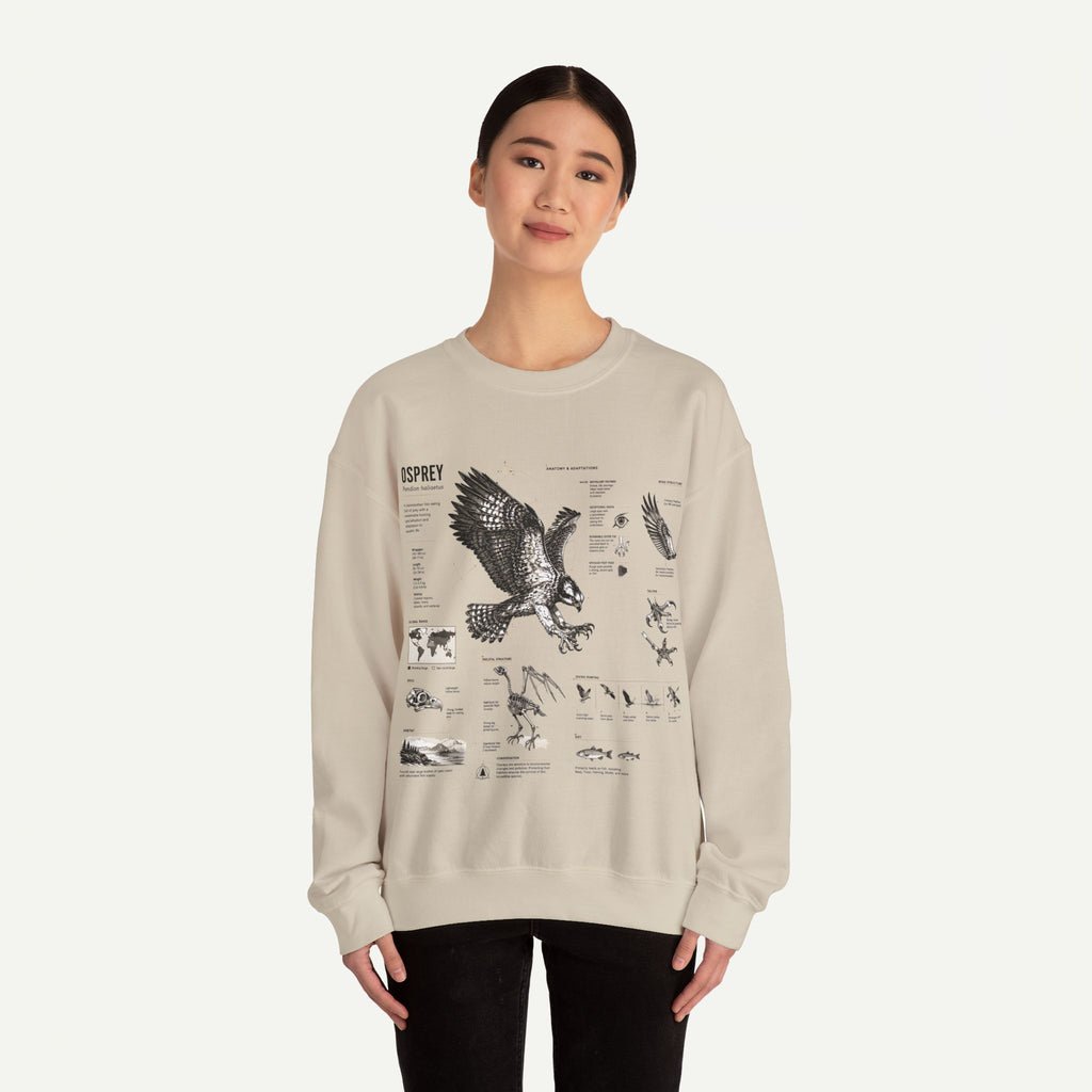 Osprey Anatomy Sweatshirt — Illustrated Bird Guide Pullover