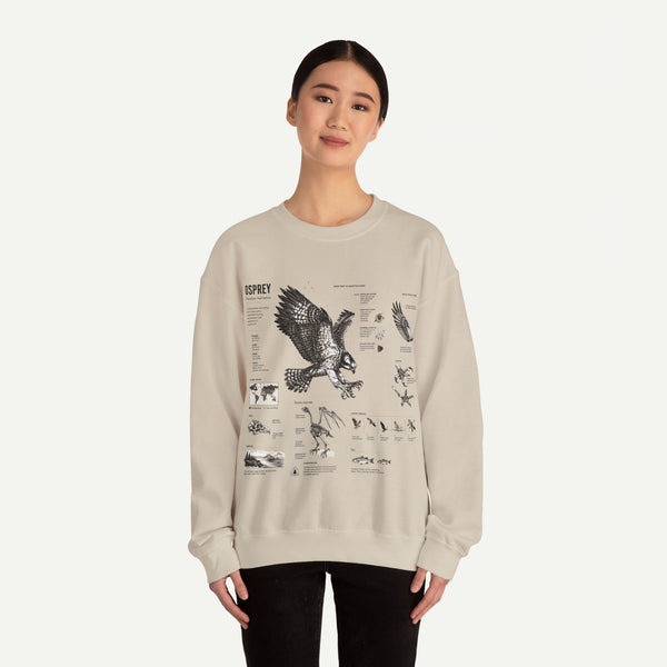 Osprey Anatomy Sweatshirt — Illustrated Bird Guide Pullover