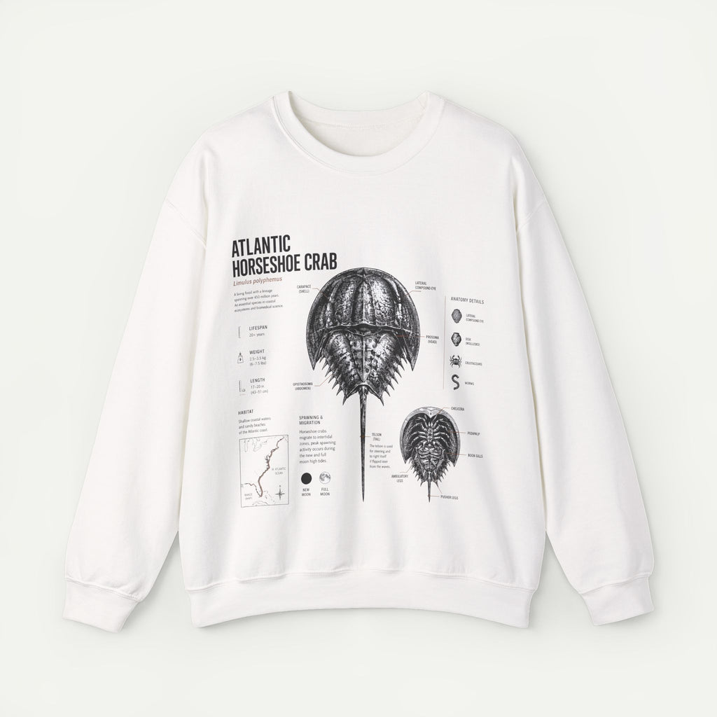 Horseshoe Crab Anatomy Sweatshirt — Atlantic Horseshoe Crab Illustration Crewneck