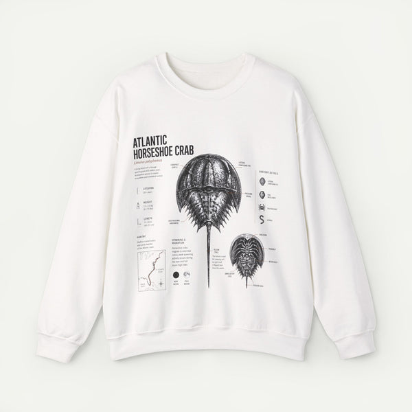 Horseshoe Crab Anatomy Sweatshirt — Atlantic Horseshoe Crab Illustration Crewneck