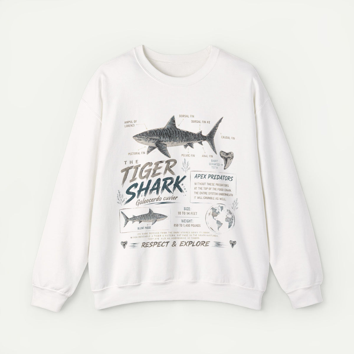 Tiger Shark Anatomy Sweatshirt — Marine Biology Graphic Crewneck