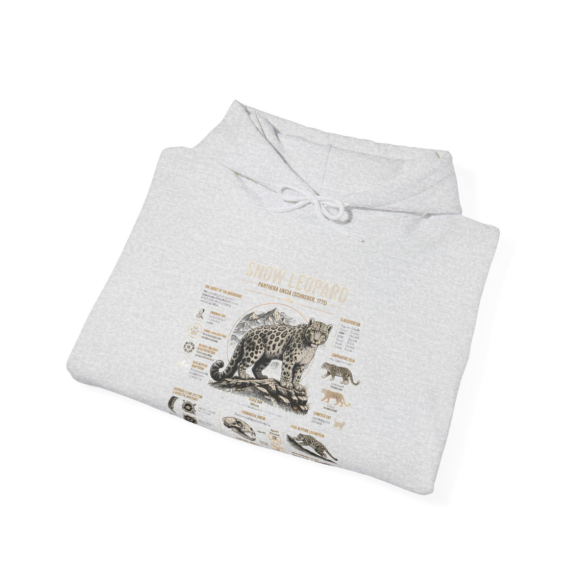Bear Anatomy Hoodie — Vintage Wildlife Illustration Sweatshirt