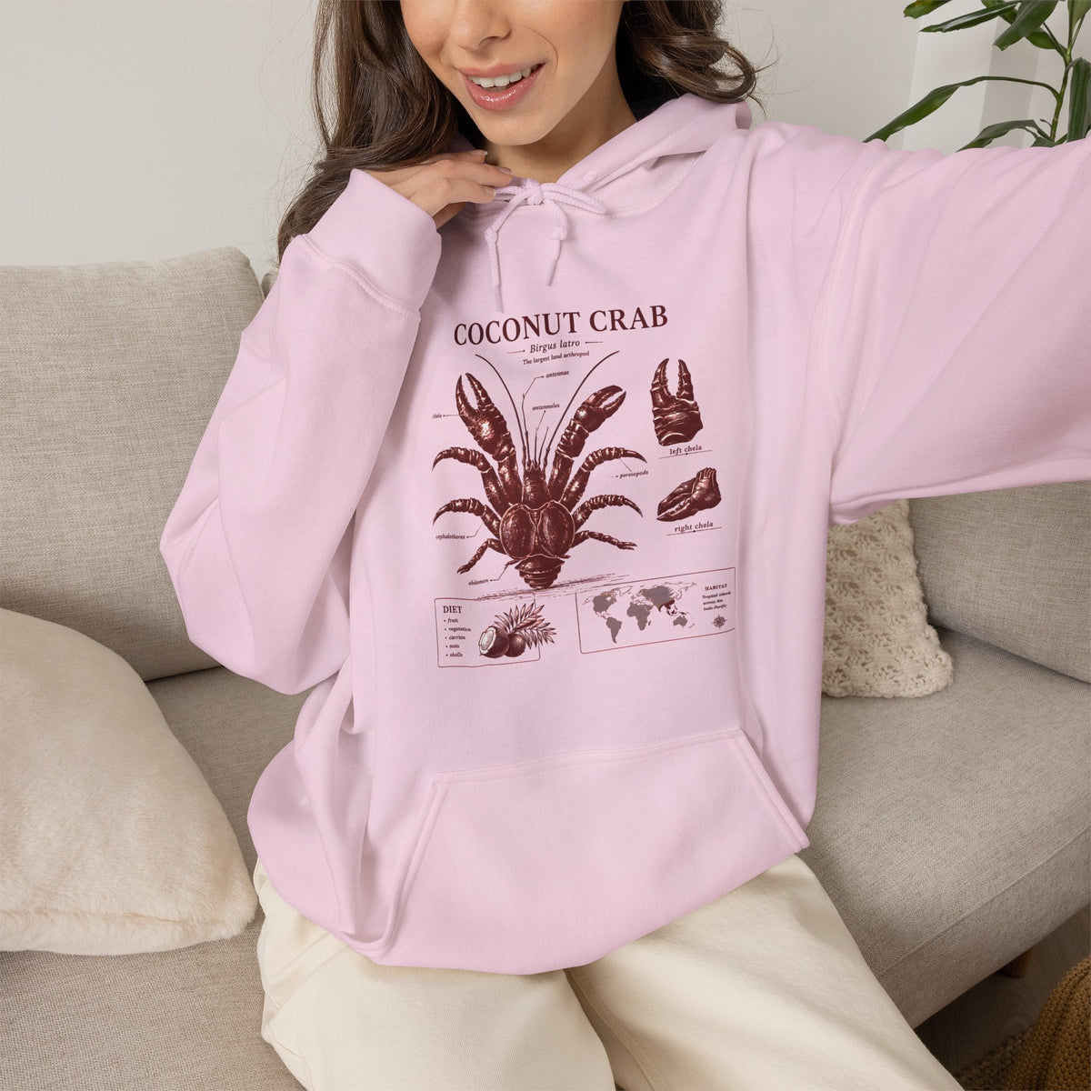 Coconut Crab Anatomy Hoodie — Vintage Botanical & Marine Study Print